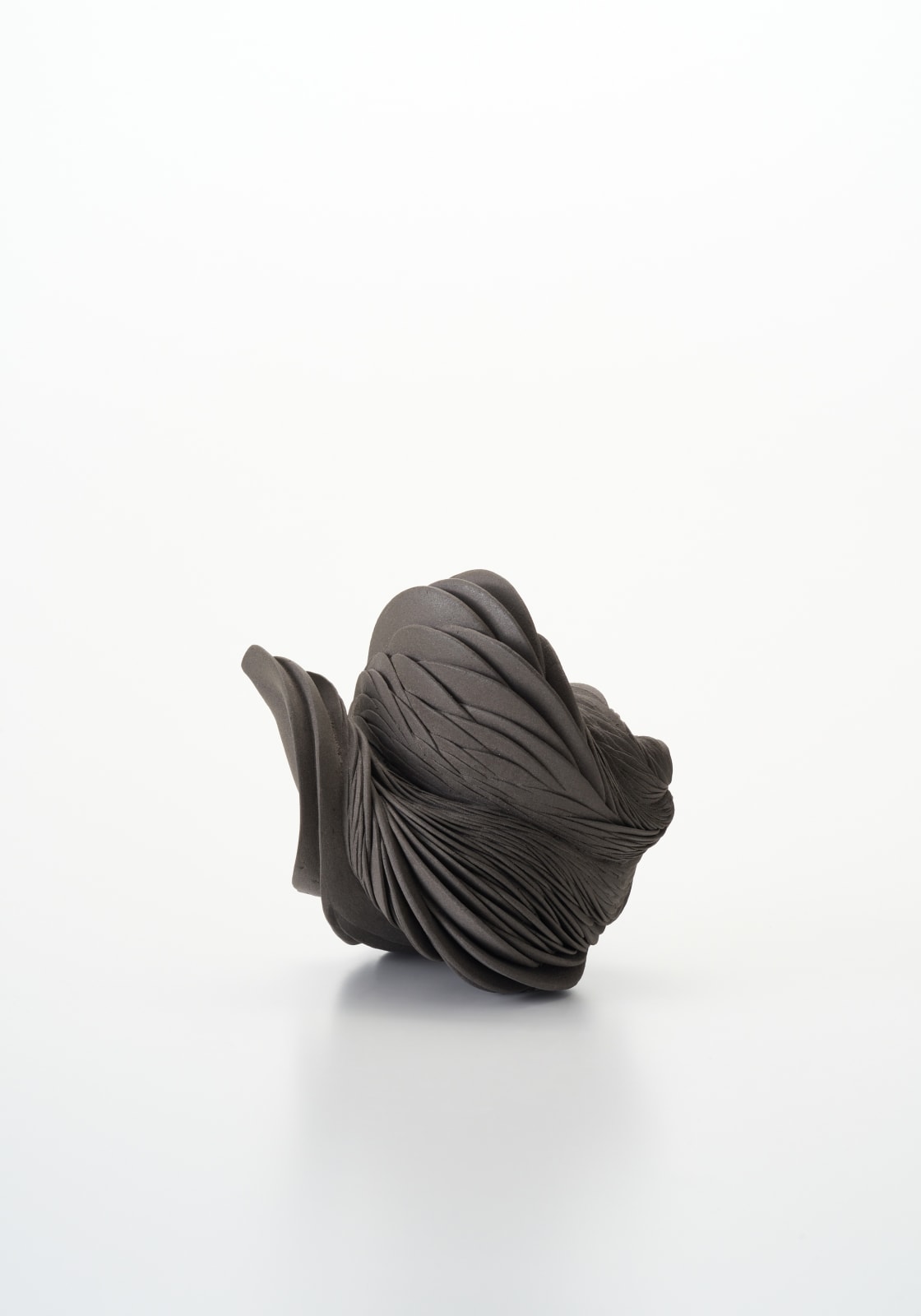 田中 知美 , 泳ぐ, 2016