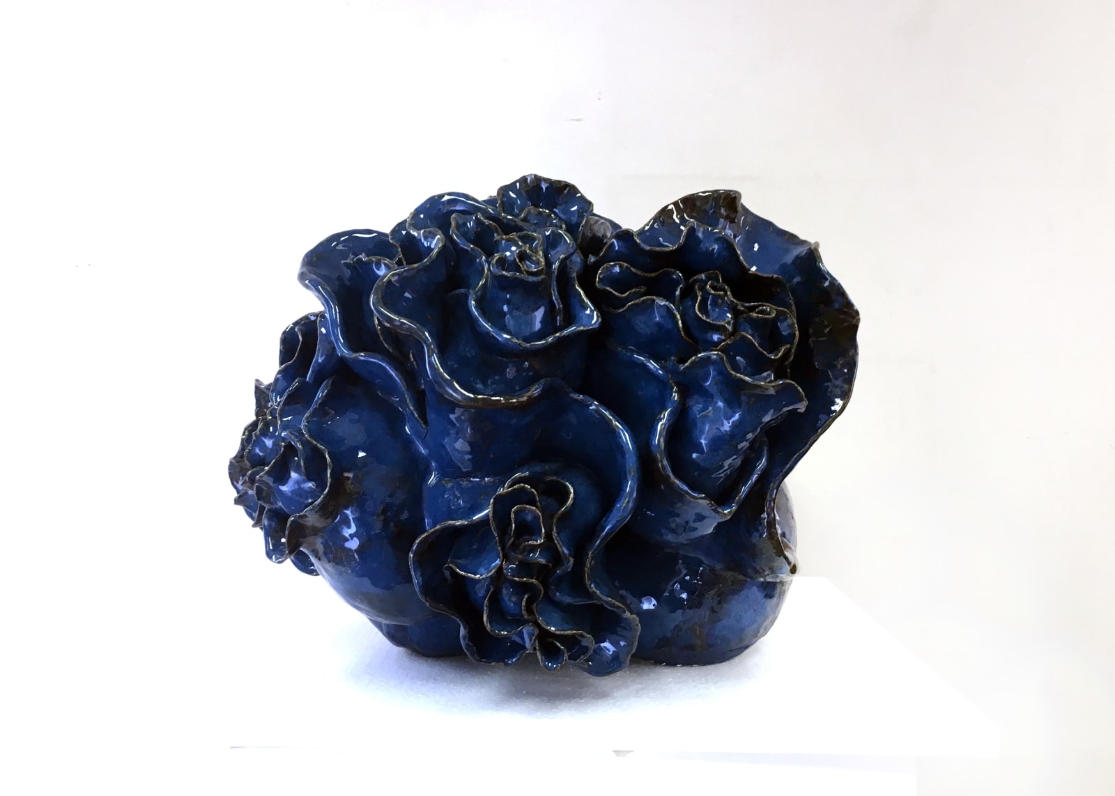 森 綾, Actiniaria, 2017