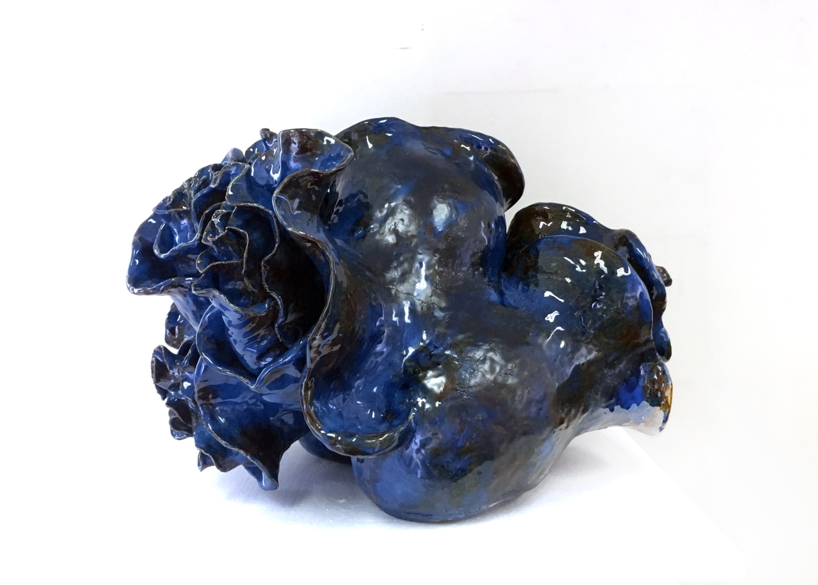 森 綾, Actiniaria, 2017