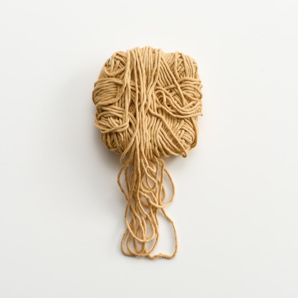 力石 咲, 毛糸玉モンスター_パッケージラーメンモンスター, 2025