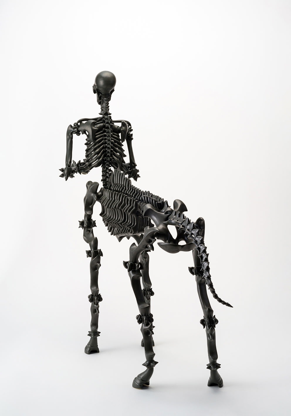 秋永 邦洋, 擬態化（ケンタウロス）, 2021