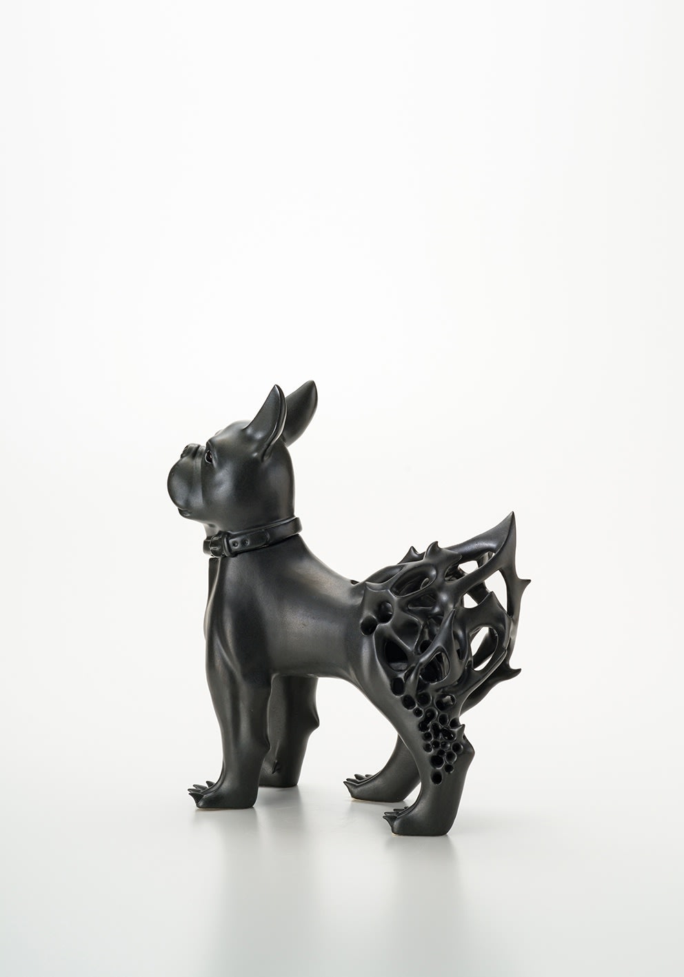 秋永 邦洋, 朧気（ボストンテリア）, 2022