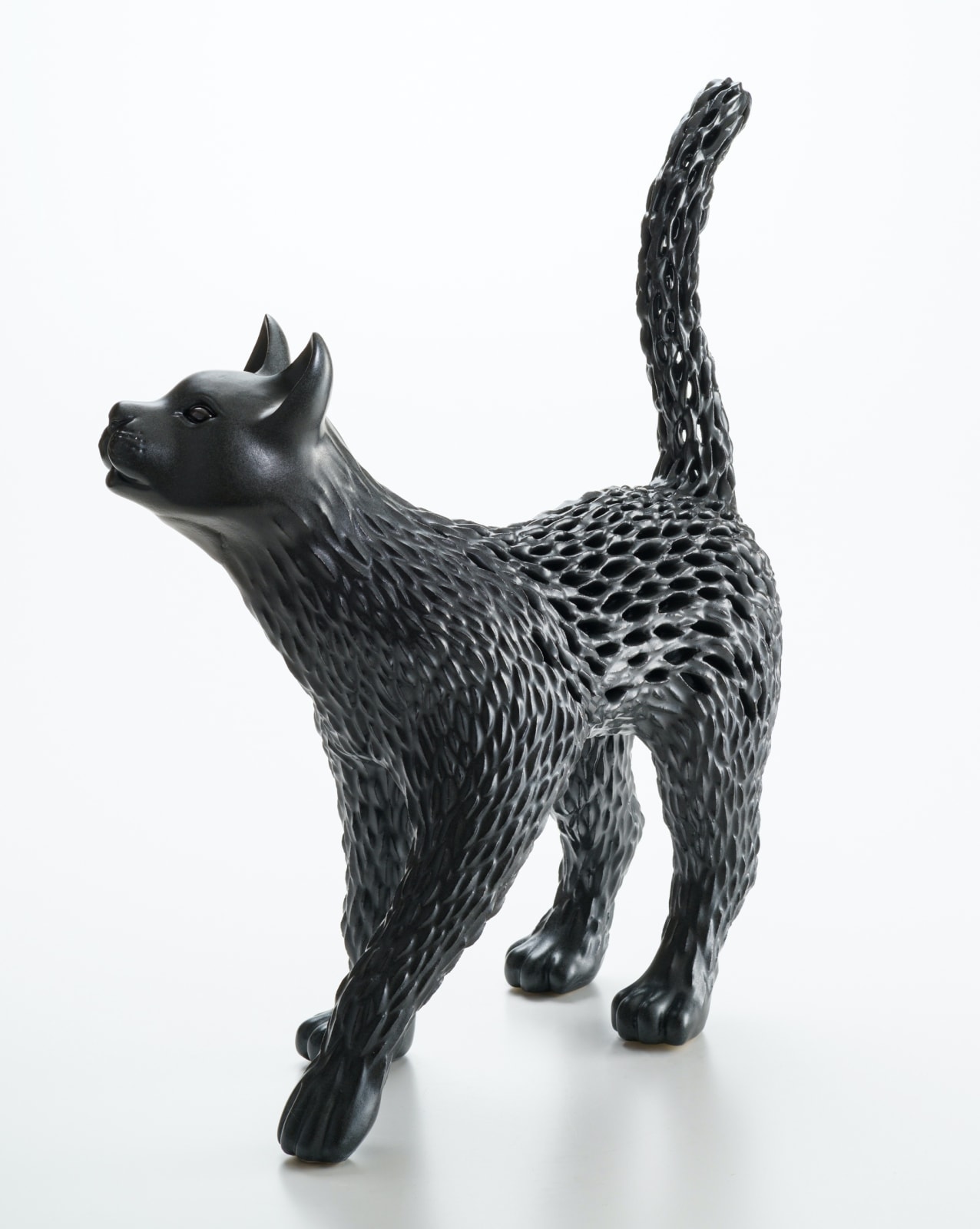 秋永 邦洋, 朧気（猫）, 2022