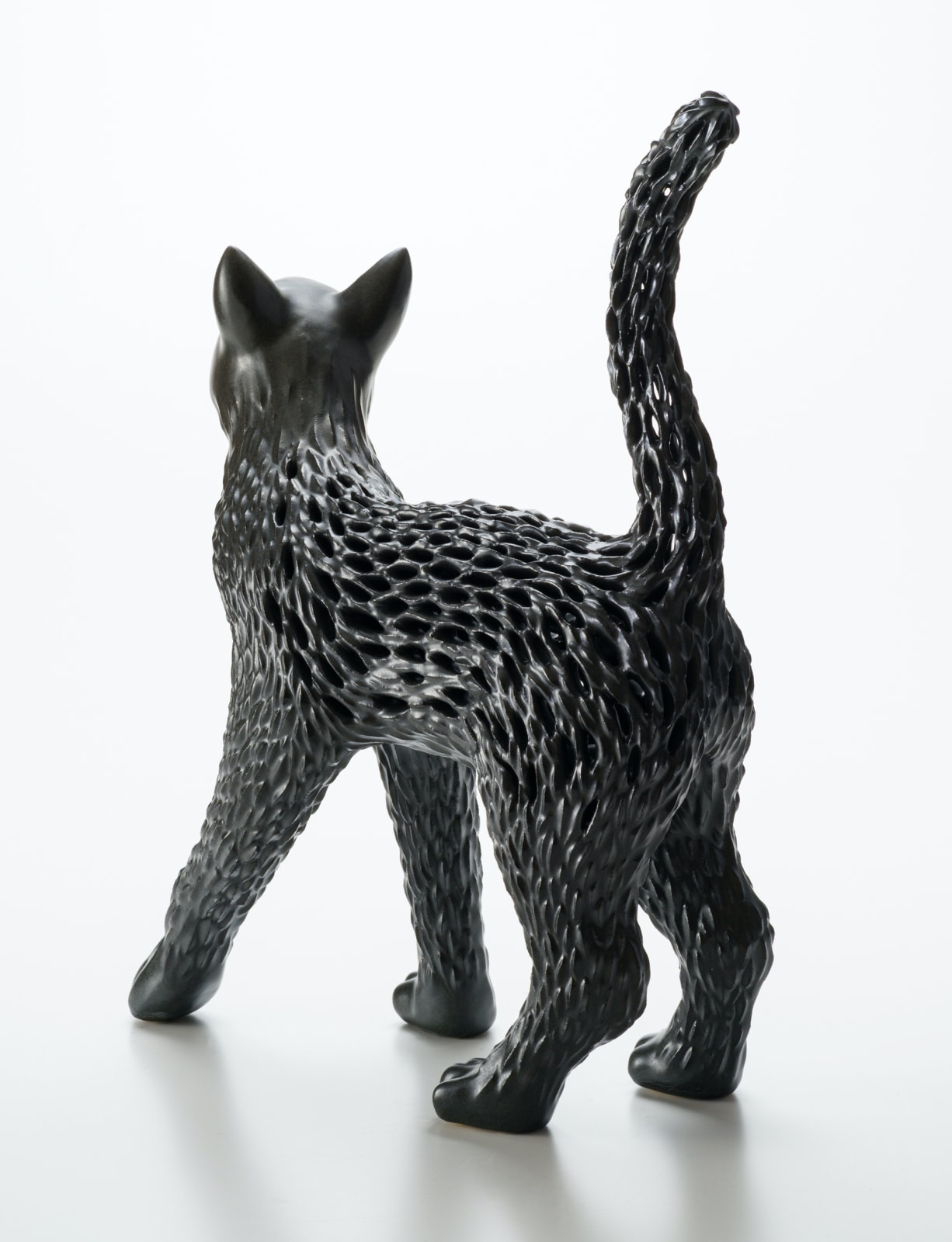 秋永 邦洋, 朧気（猫）, 2022