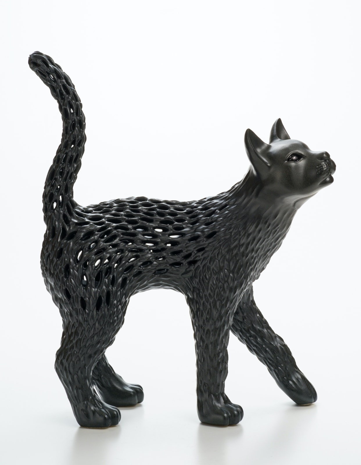 秋永 邦洋, 朧気（猫）, 2022