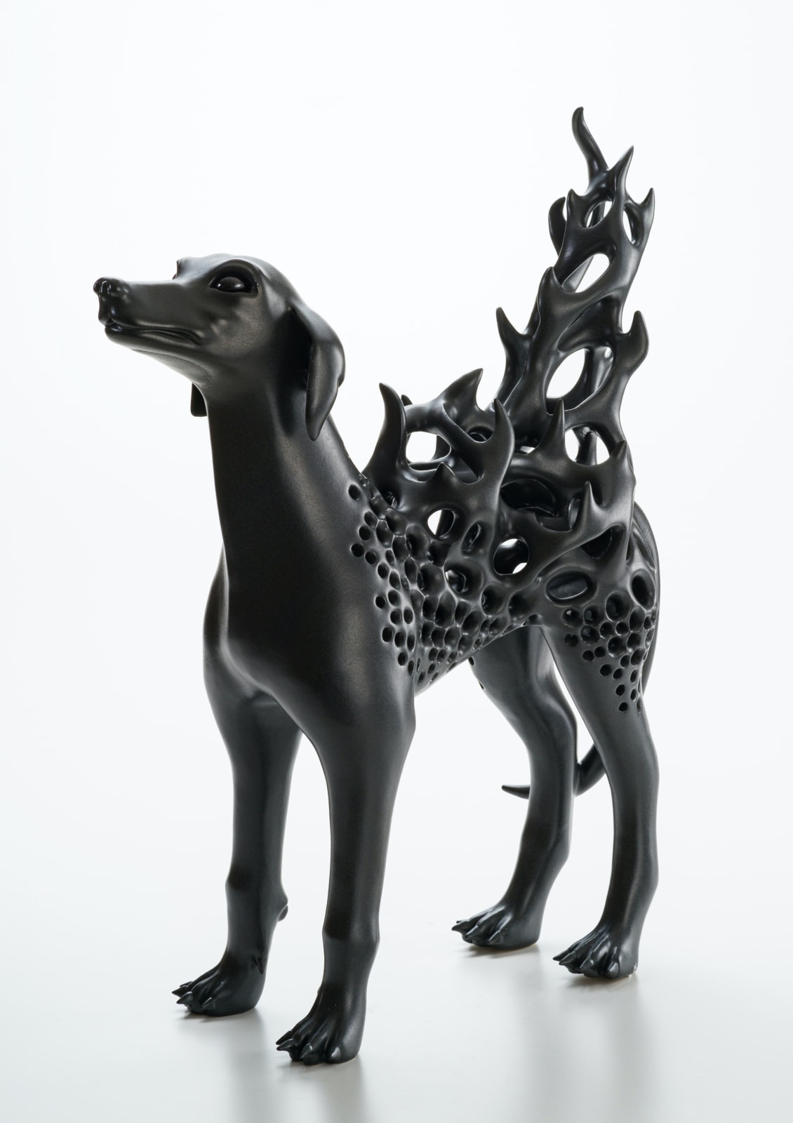 秋永 邦洋, 朧気（犬）, 2022