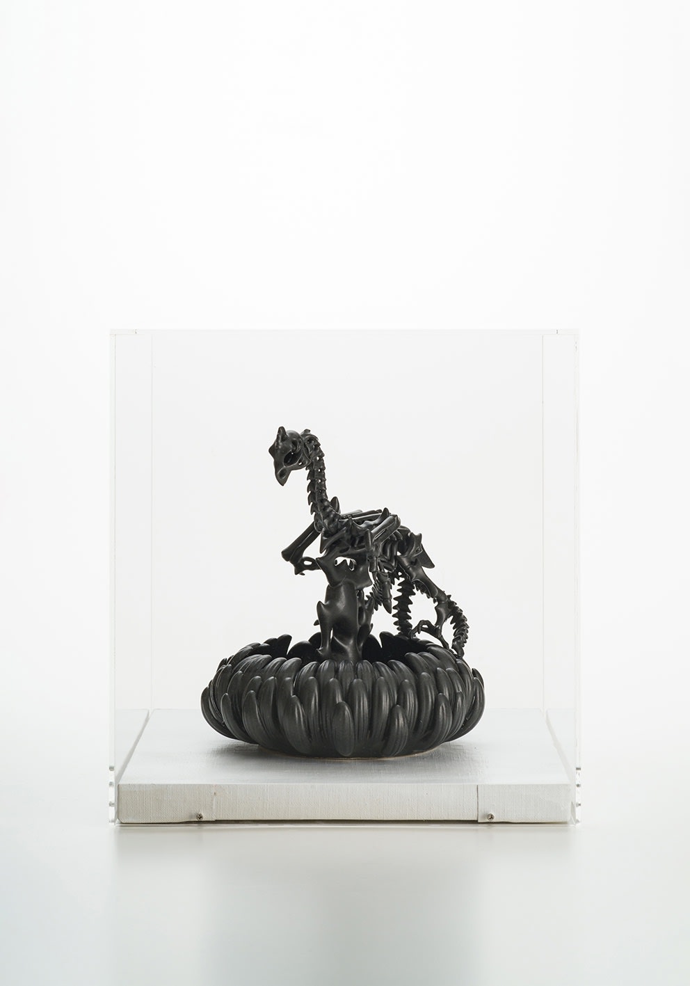 秋永 邦洋, 擬態化（鳳凰）, 2020