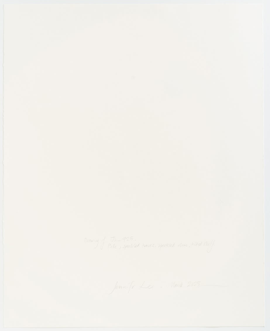 ジェニファー・リー, JL 925 (Pale, speckled traces, speckled olive, tilted shelf), 2023