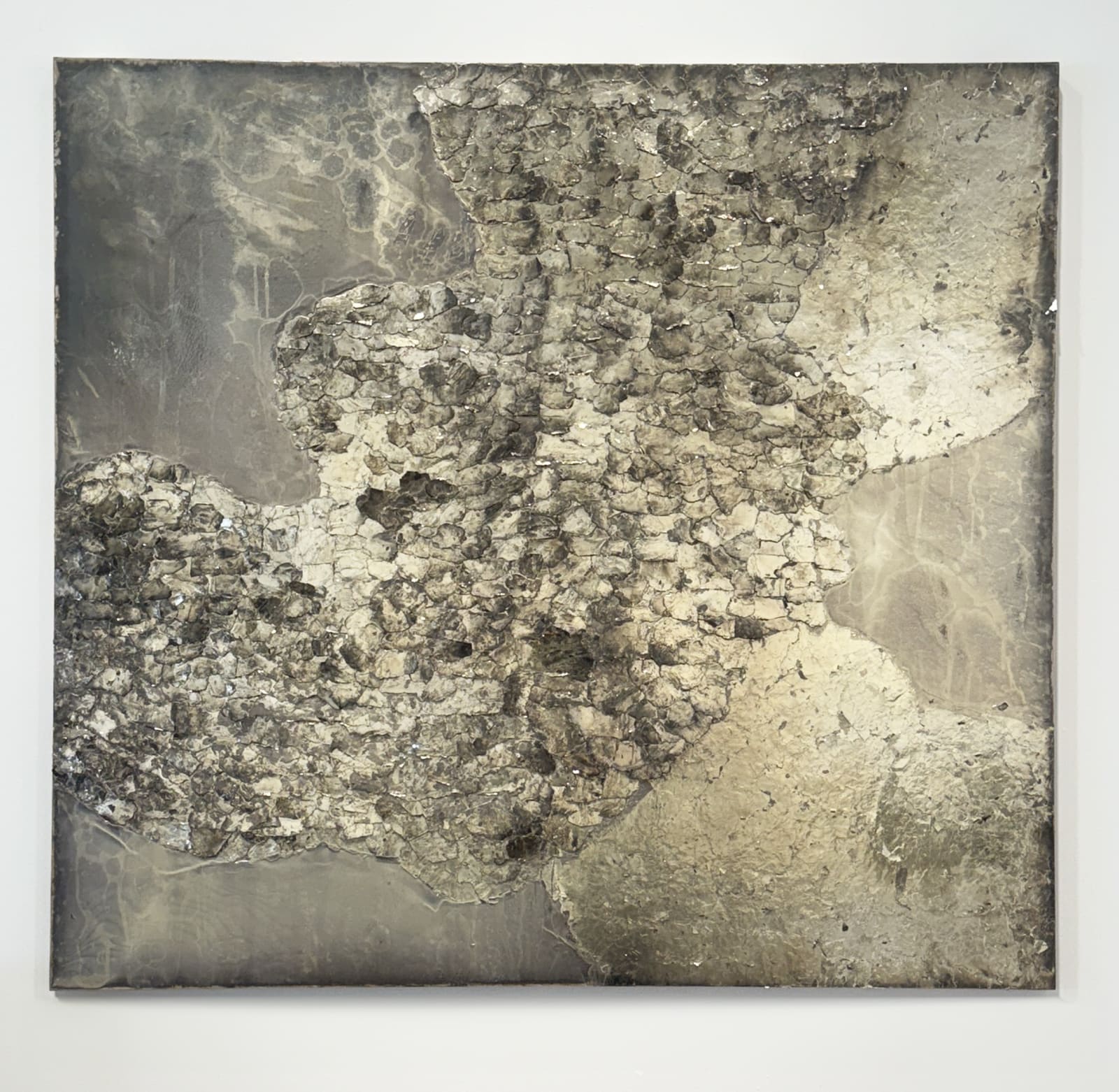 Rosalind Tallmadge, Nephelai, 2025