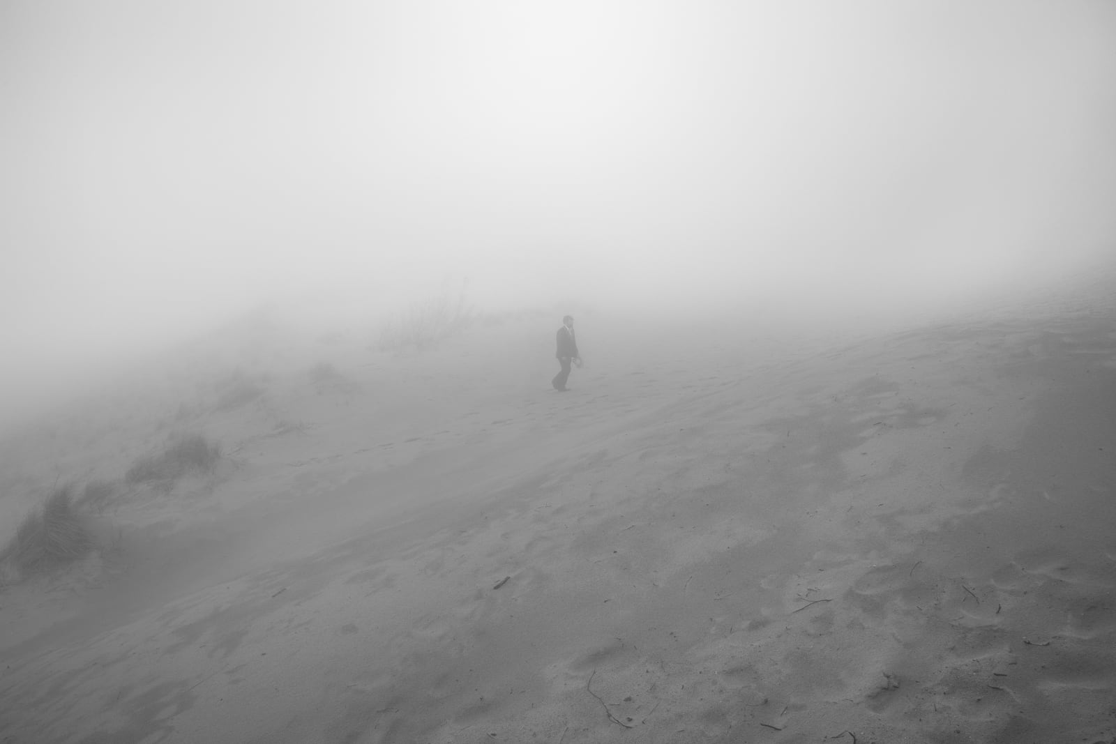 Susan Goethel Campbell, Dune No. 2, 2017