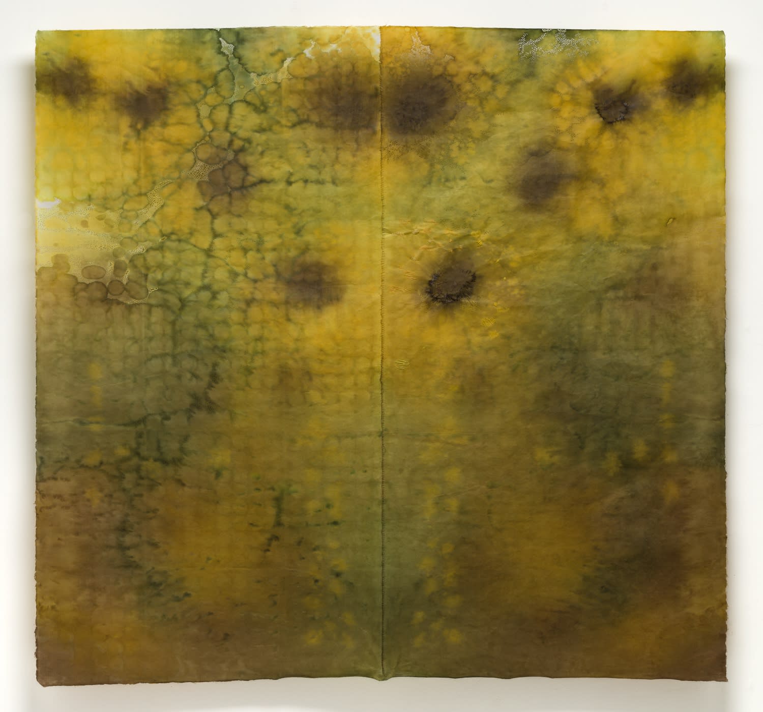 Susan Goethel Campbell, Garden Repair No. 6, 2024