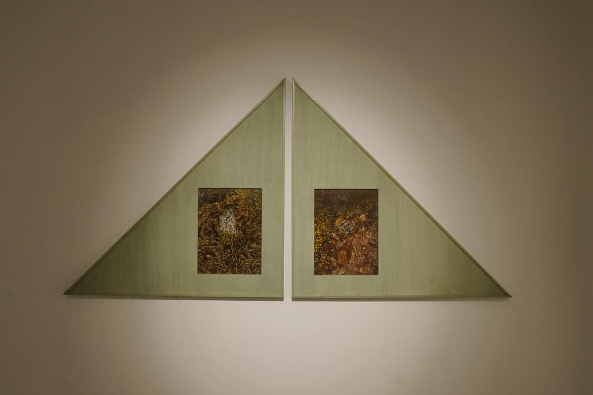 Conception I & II by Rid Burman