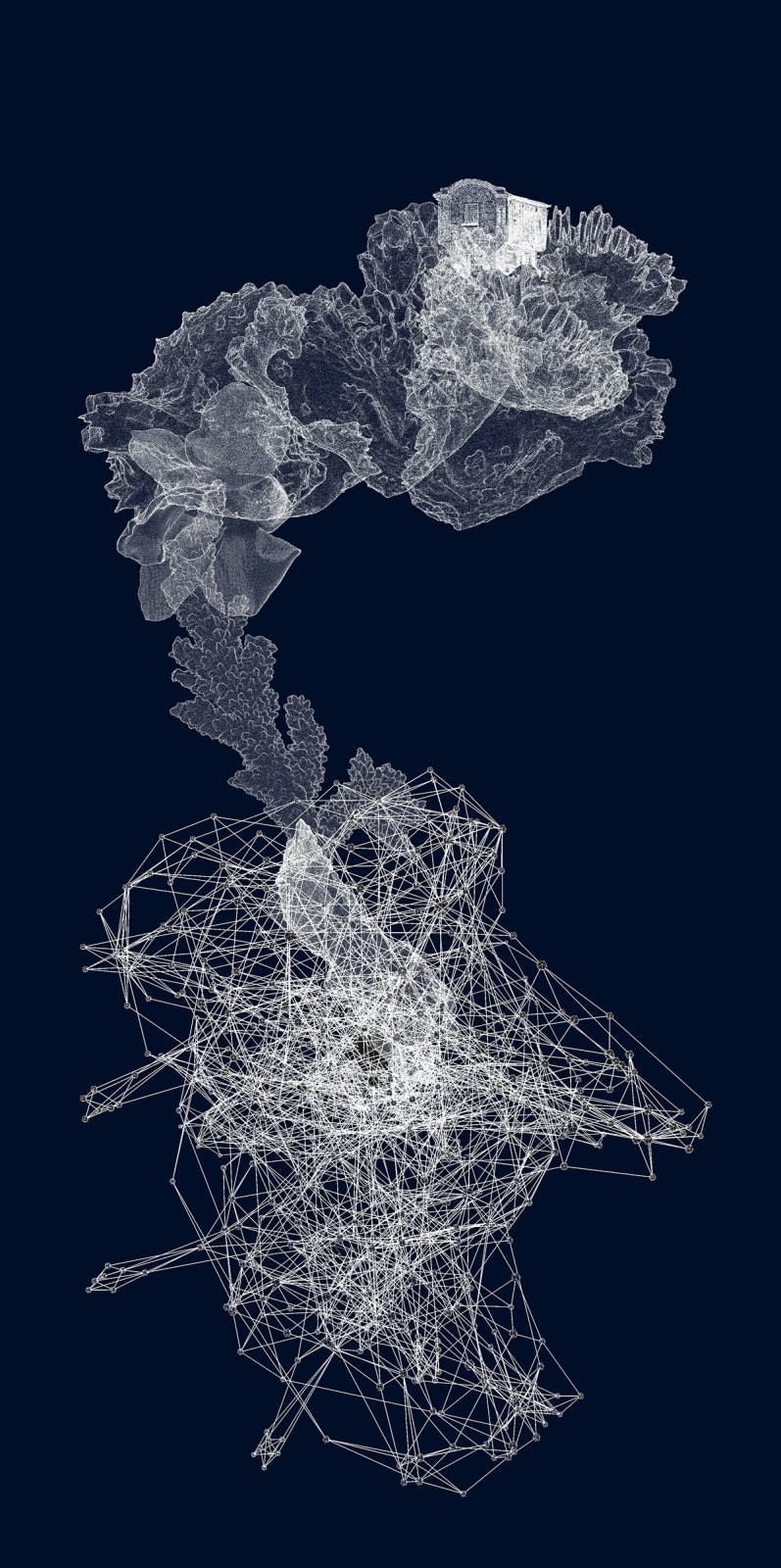 Excursive Gene, 3D assets - Neutral Networks, Brain Coral, Red Coral, Victorian House, Tree