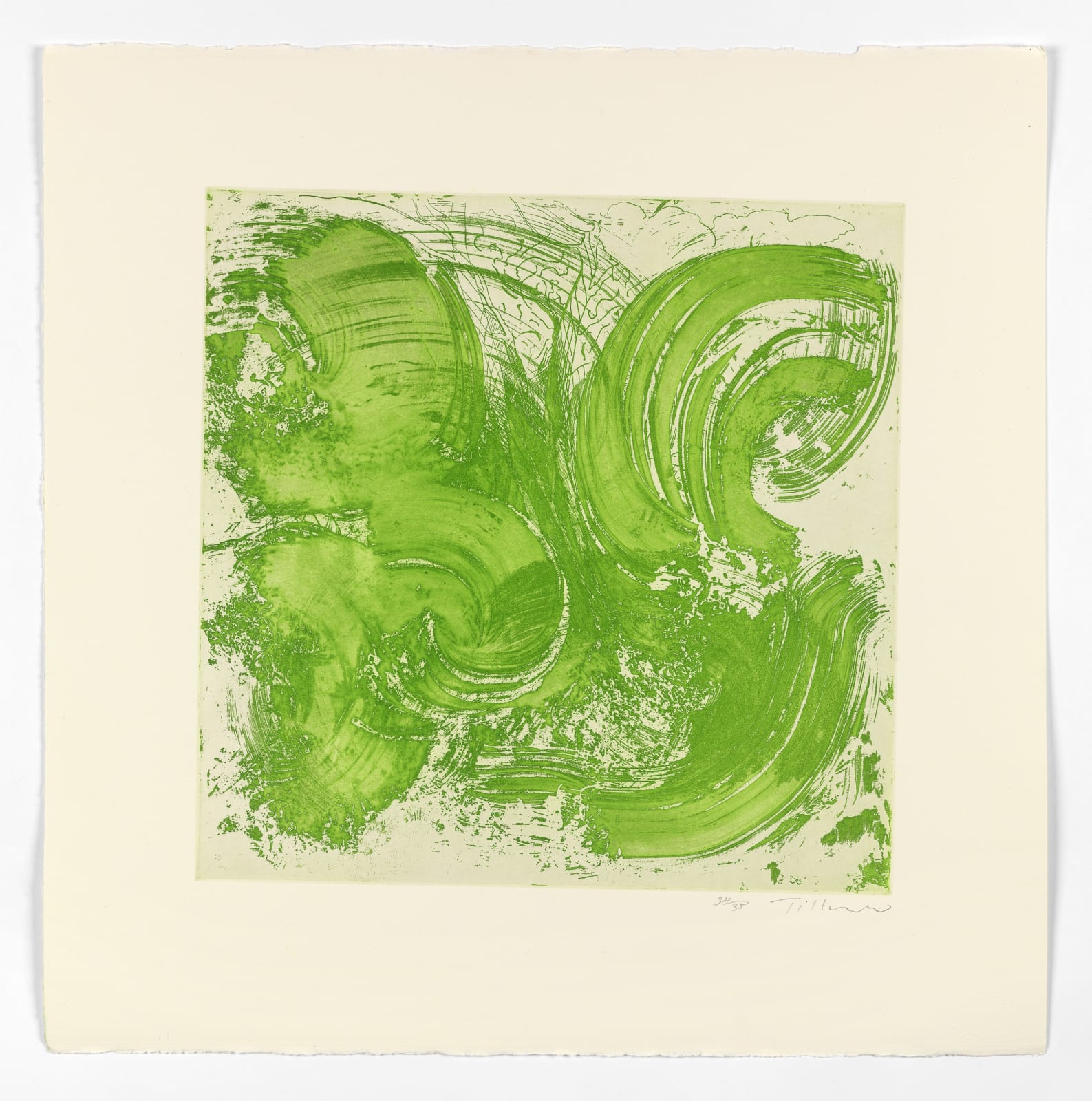 William Tillyer, The Ruswarp Suite 5 , 2023