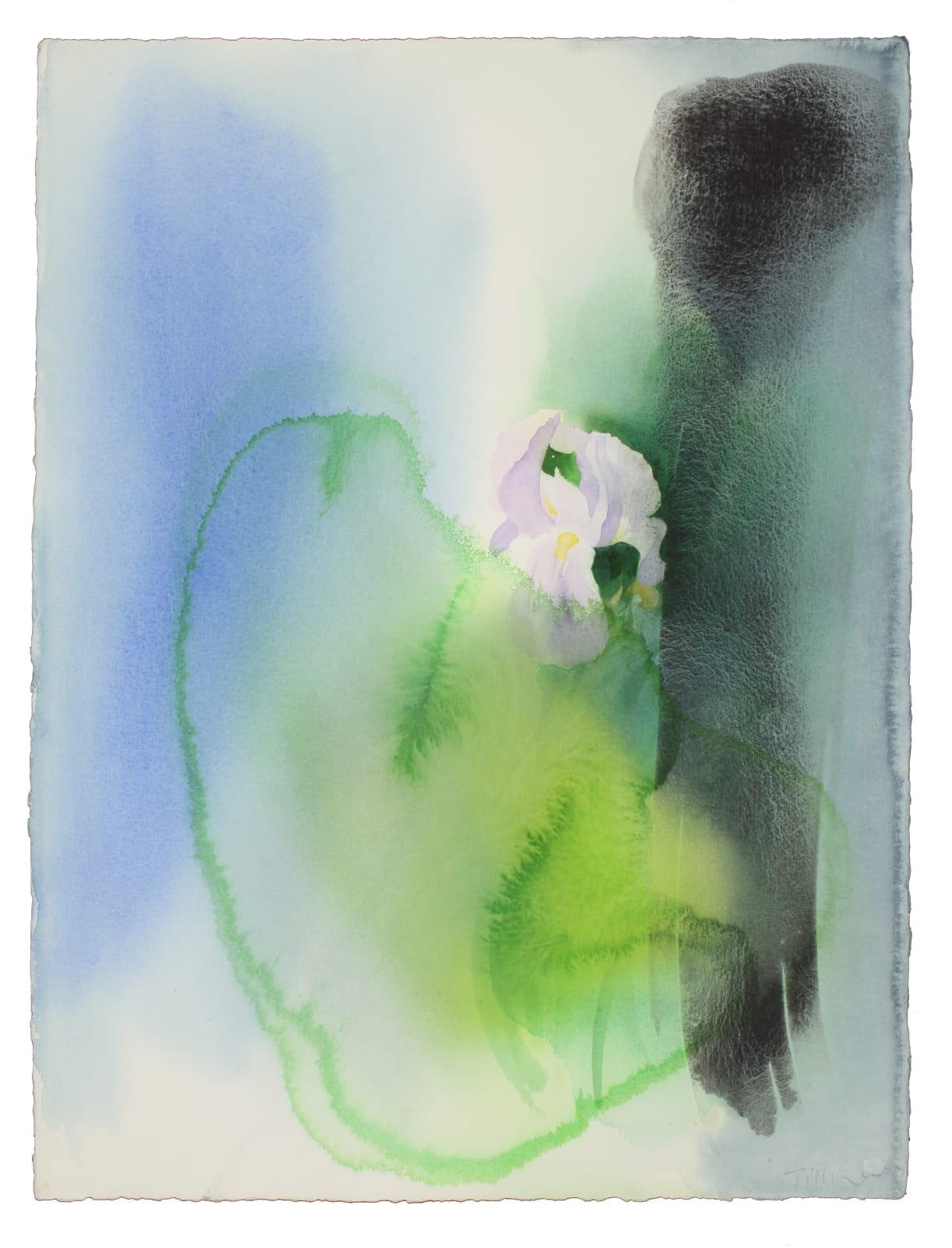 William Tillyer, The Corsham Iris 1/3, 2019