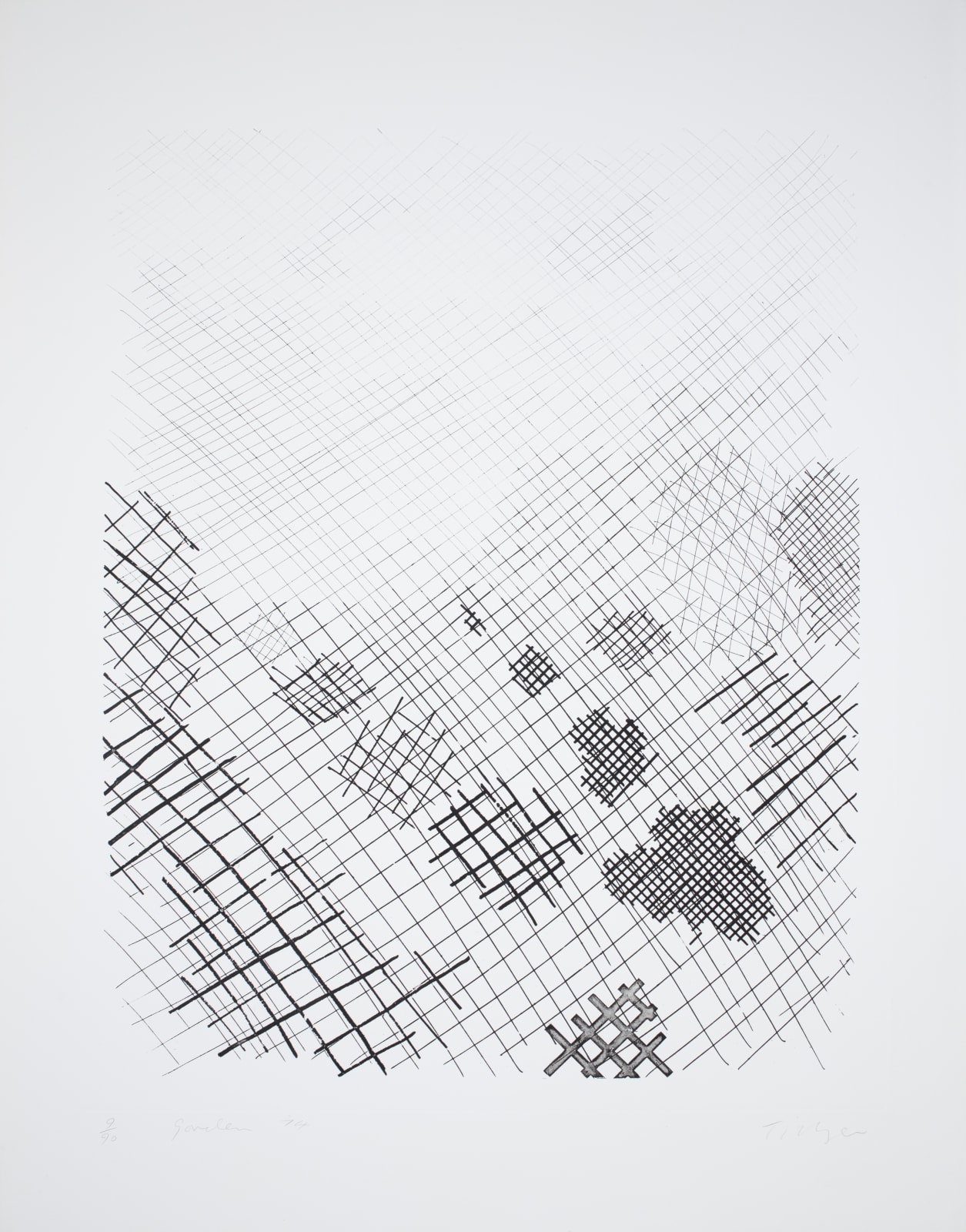 William Tillyer, Garden - A Furnished Landscape, 1974