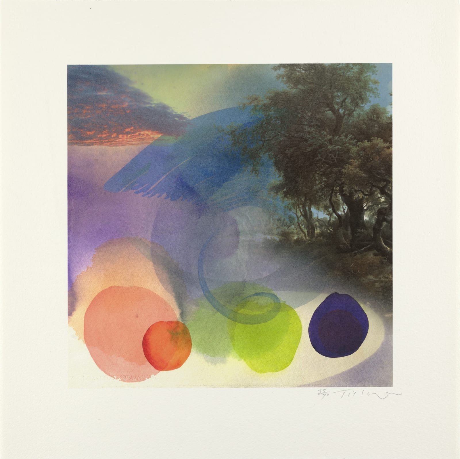 William Tillyer, Zephyr - Hambleton, 2019