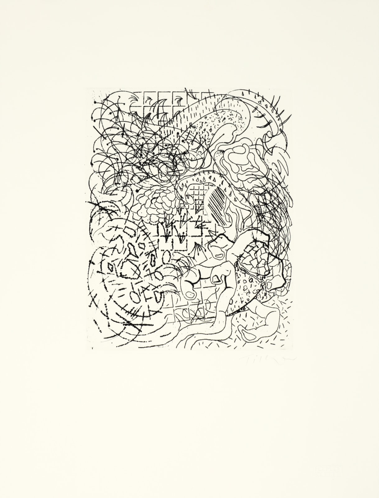 William Tillyer, 'real flowers that mimicked artificial ones' - Caladiums 'it all comes back to syphilis', 1974/2018