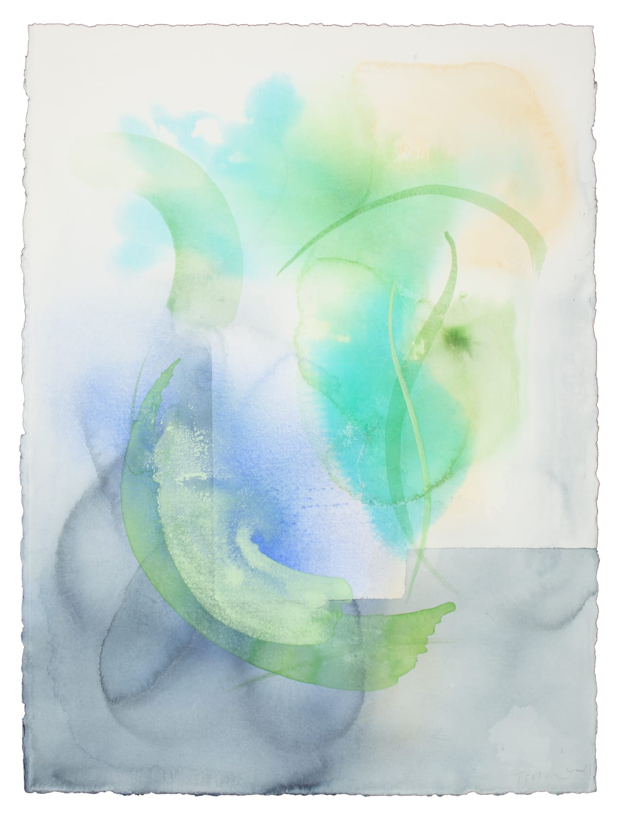 William Tillyer, The Mulgrave Watercolours, 2019