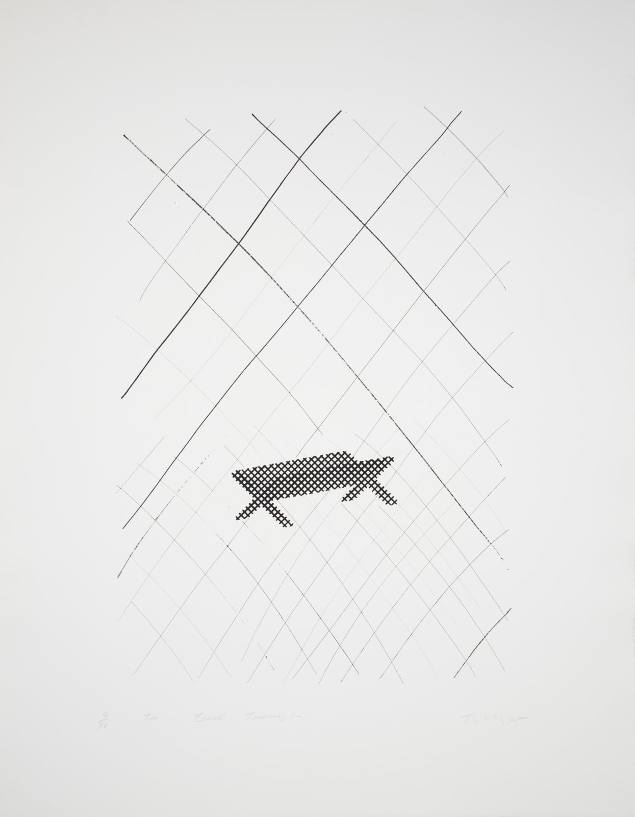 William Tillyer, Feed Trough - A Furnished Landscape, 1974