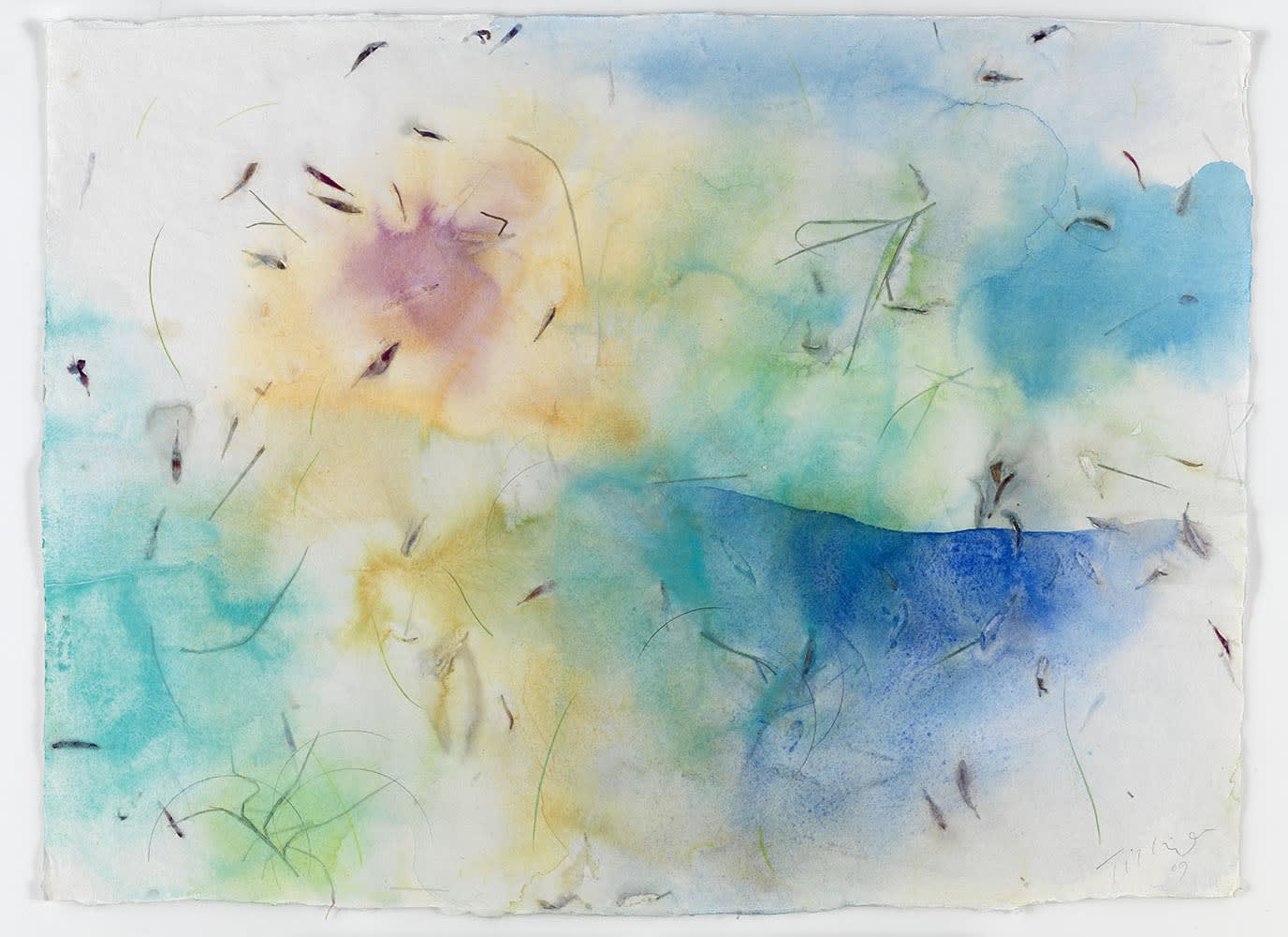 William Tillyer, Air Wind Light Water. The Fall, Cape Cod 20, 2009