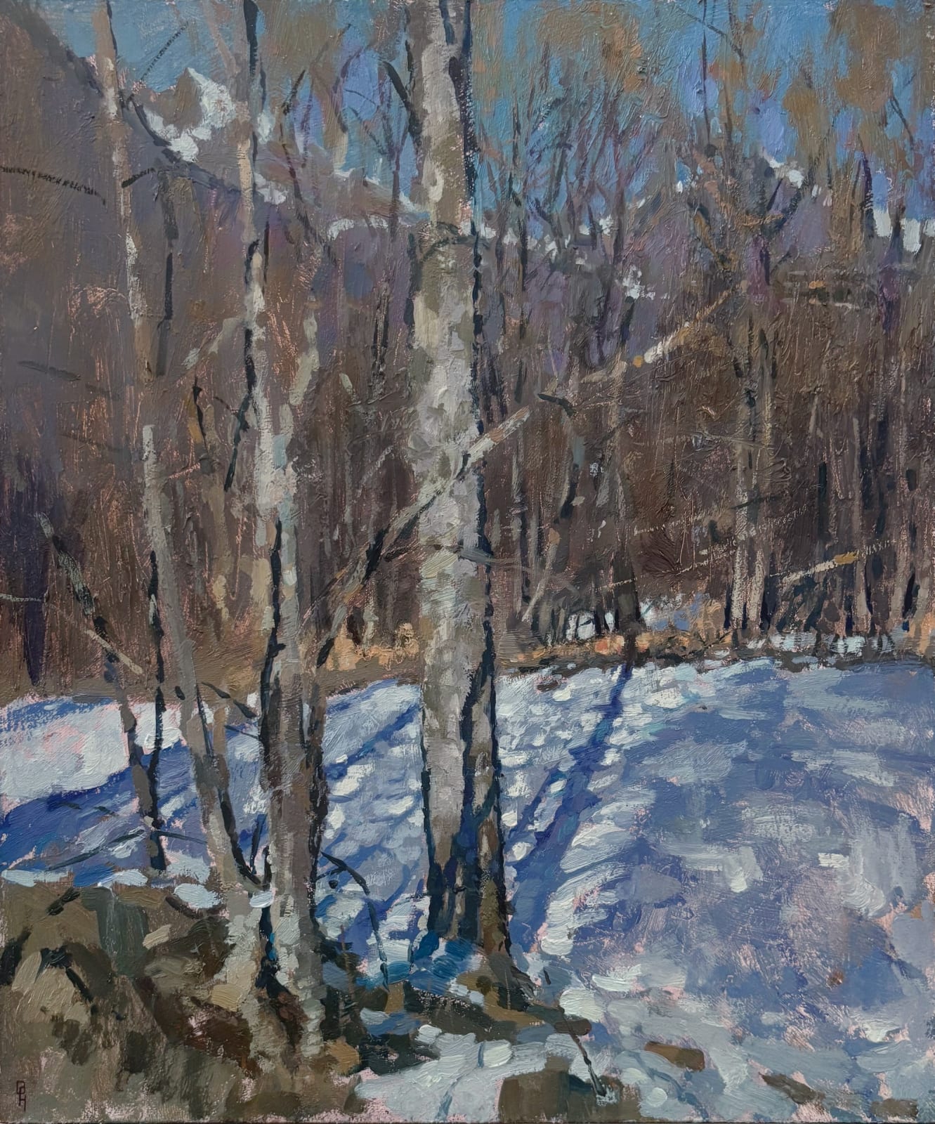 St Martin de Belleville Trees #1