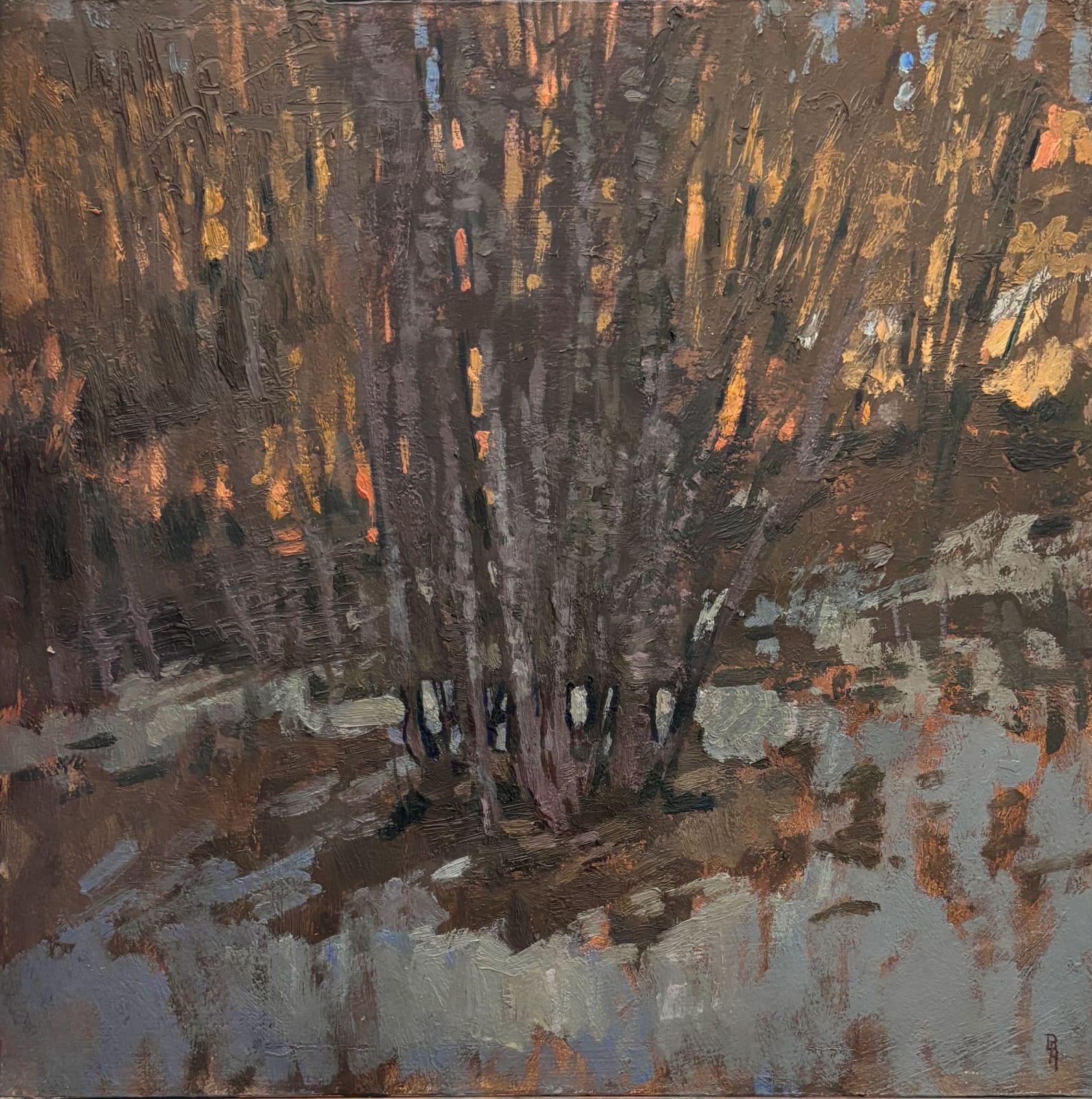 St Martin de Belleville Trees #2