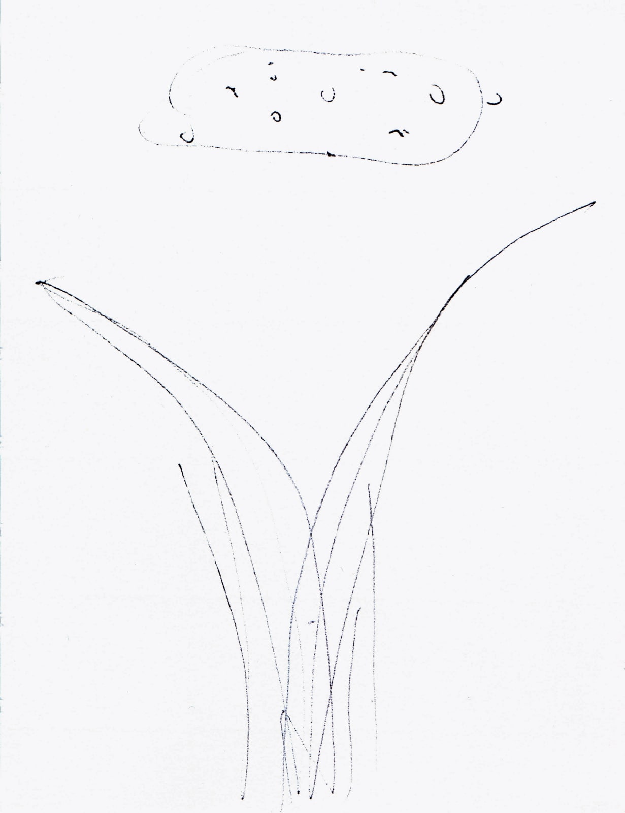 Hannah Luxton, Cosmos, 2018