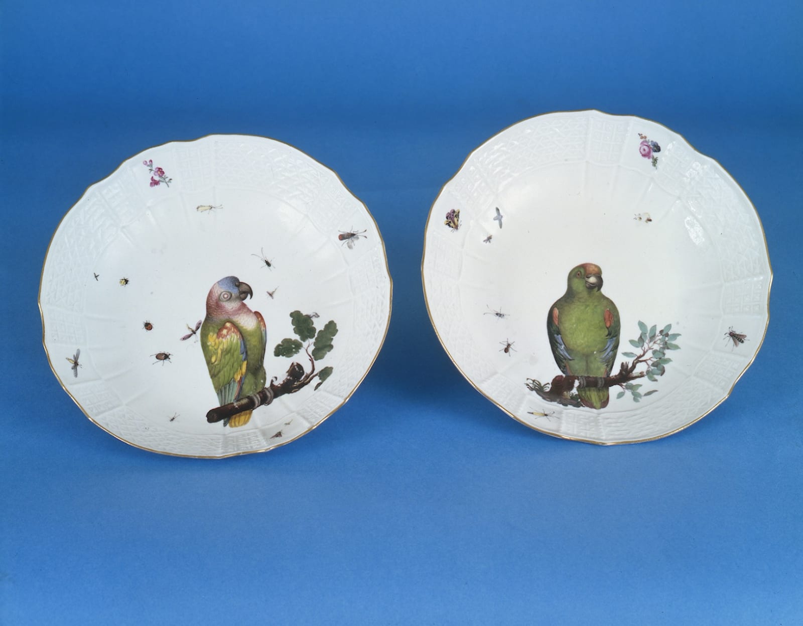 Pair of Meissen Chargers painted with South American Parrots, Circa 1745