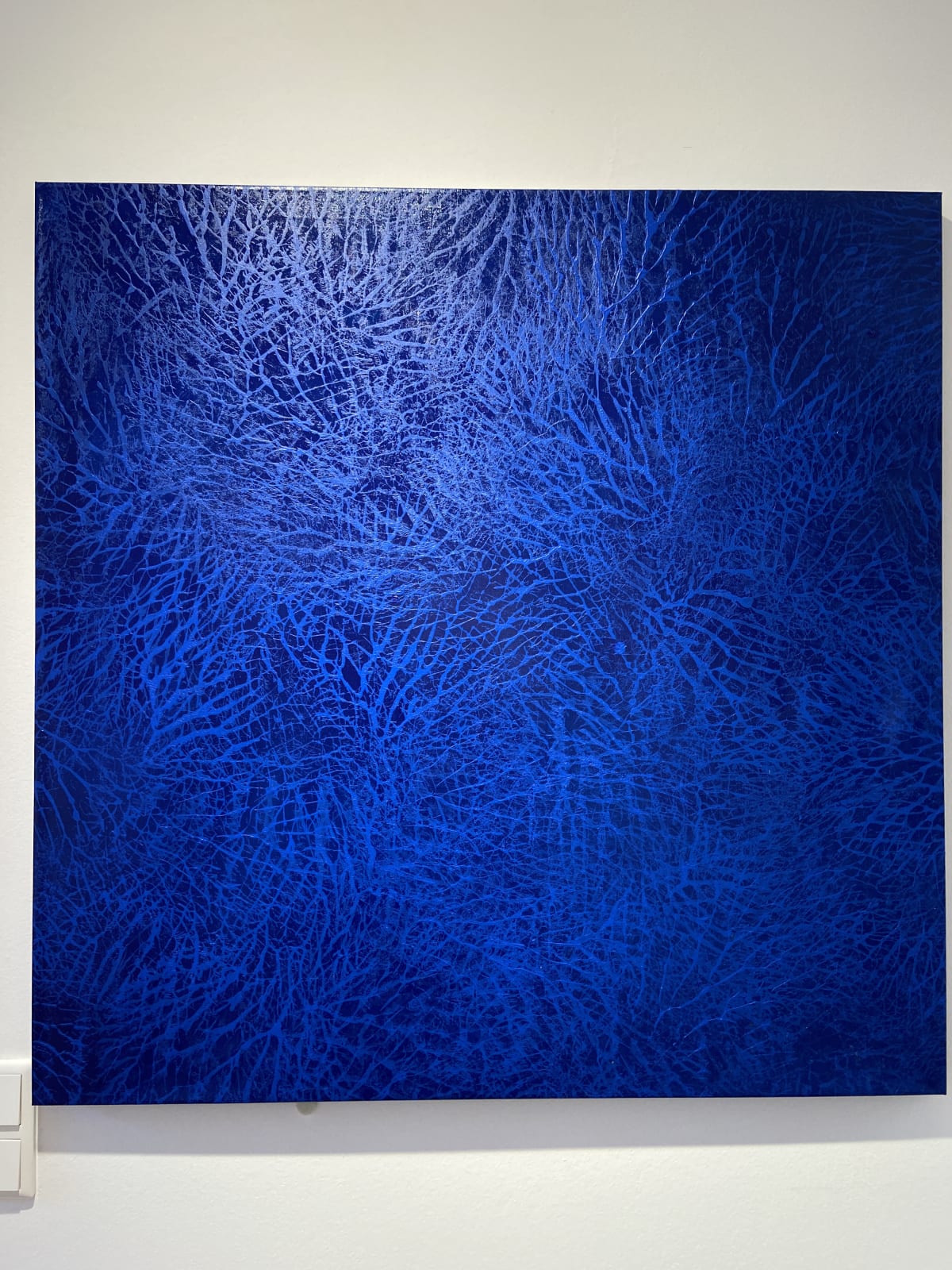 Samanta Malavasi, Mono 5, 2024