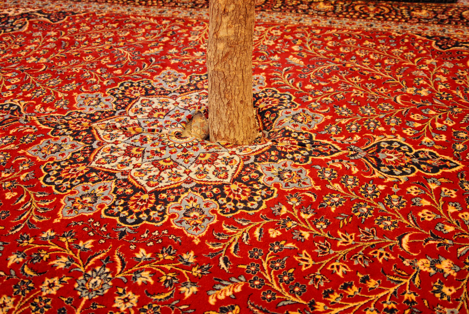 Babak Kazemi, Untitled, 2014
