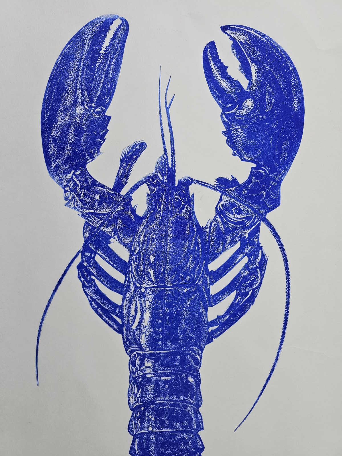 Ultramarine Lobster , 2024