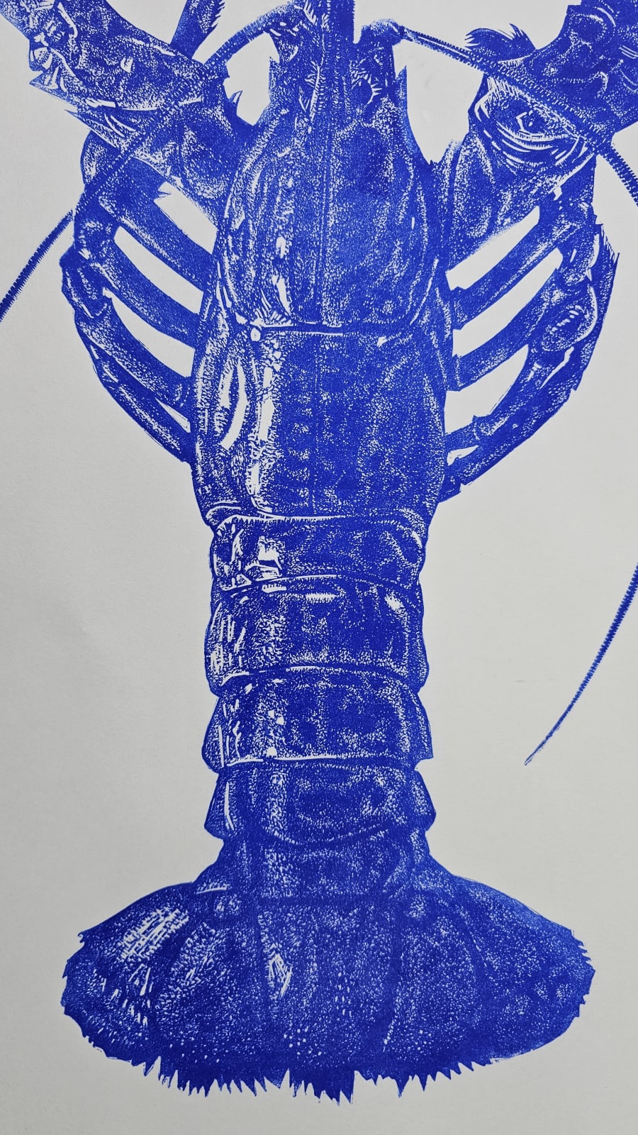 Ultramarine Lobster , 2024