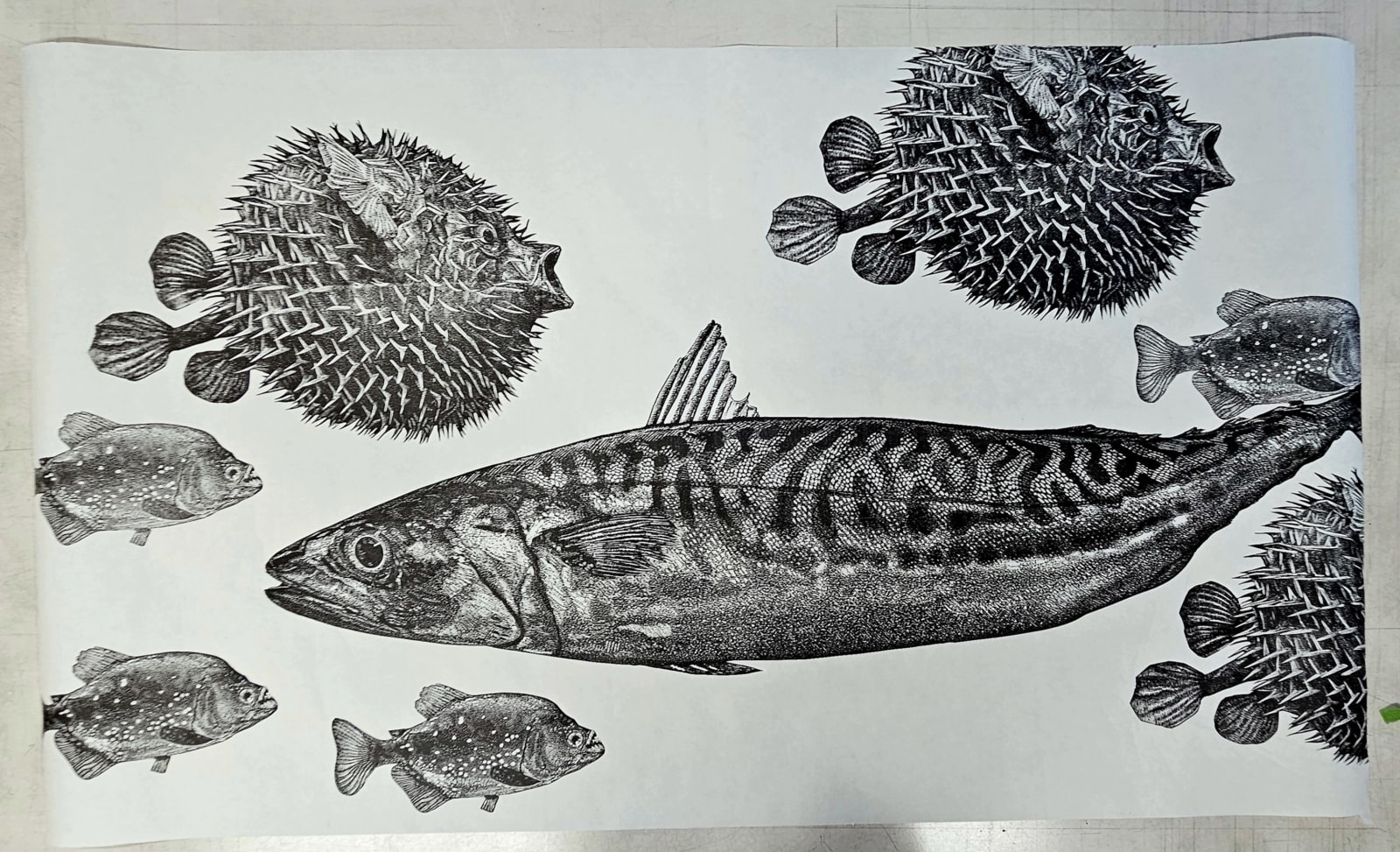 Something Fishy, 2025
