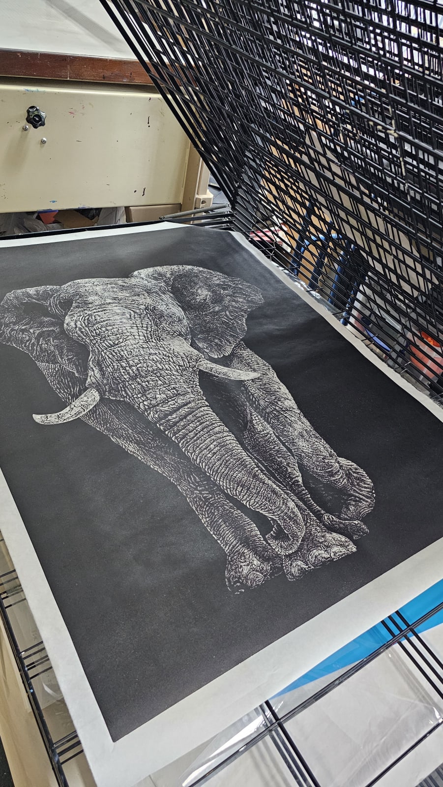 Elephant, 2025