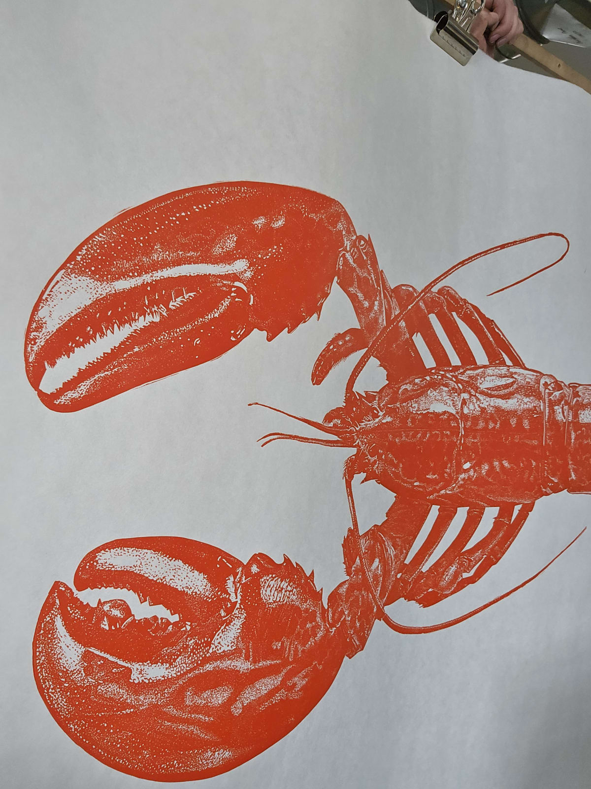 Maine Lobster Orange, 2025