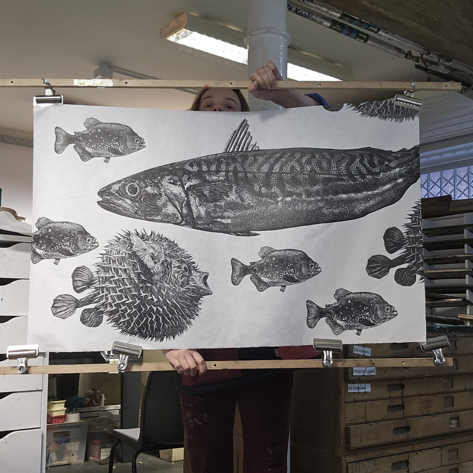 Plenty more Fish, 2025