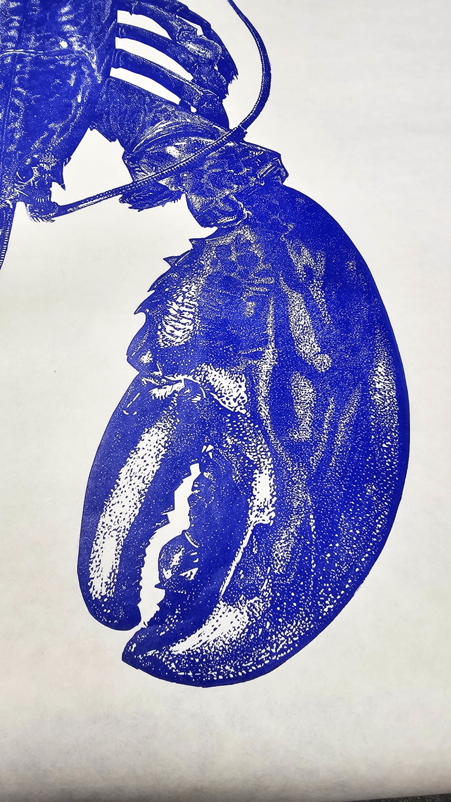 Maine Lobster Ultramarine, 2025
