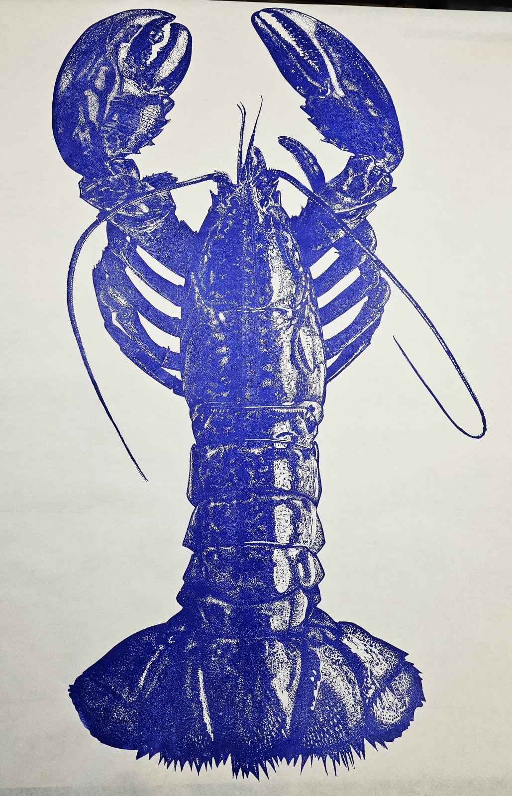Maine Lobster Ultramarine, 2025
