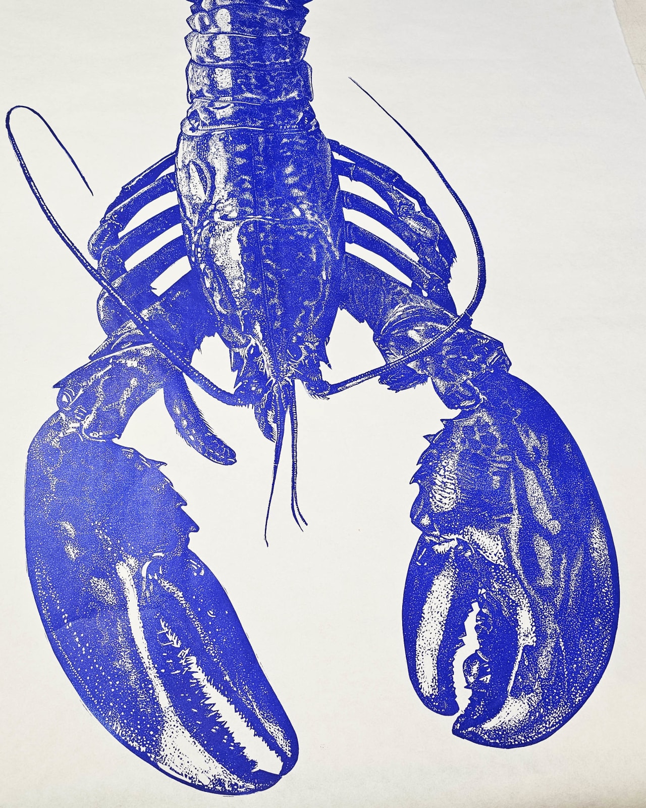 Maine Lobster Ultramarine, 2025