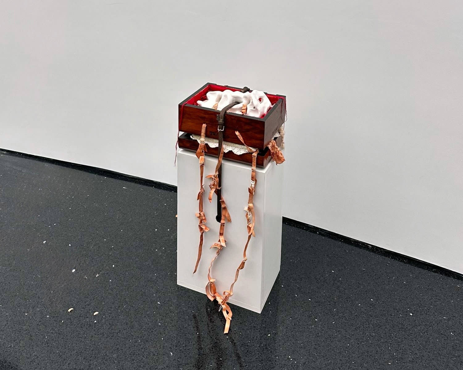 Lera Kelemen, Undercorp (piegon), 2024