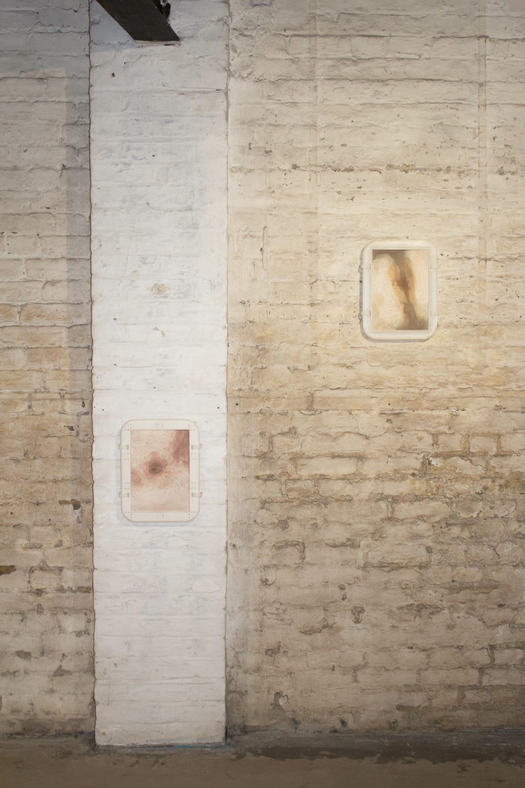 Luca Asta, Ex Manus Series, 2024