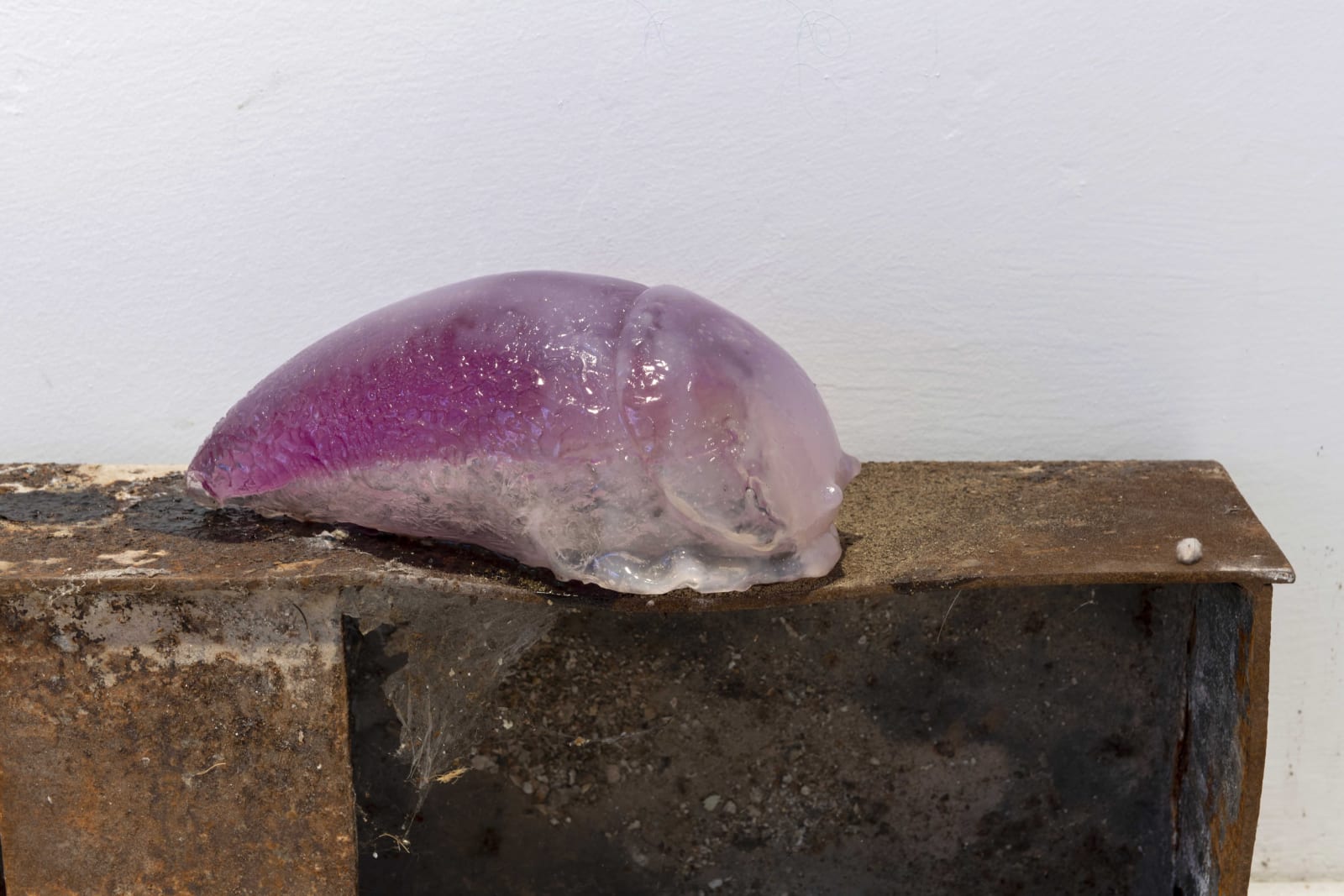 Pınar Marul, Leech’s nest, 2022