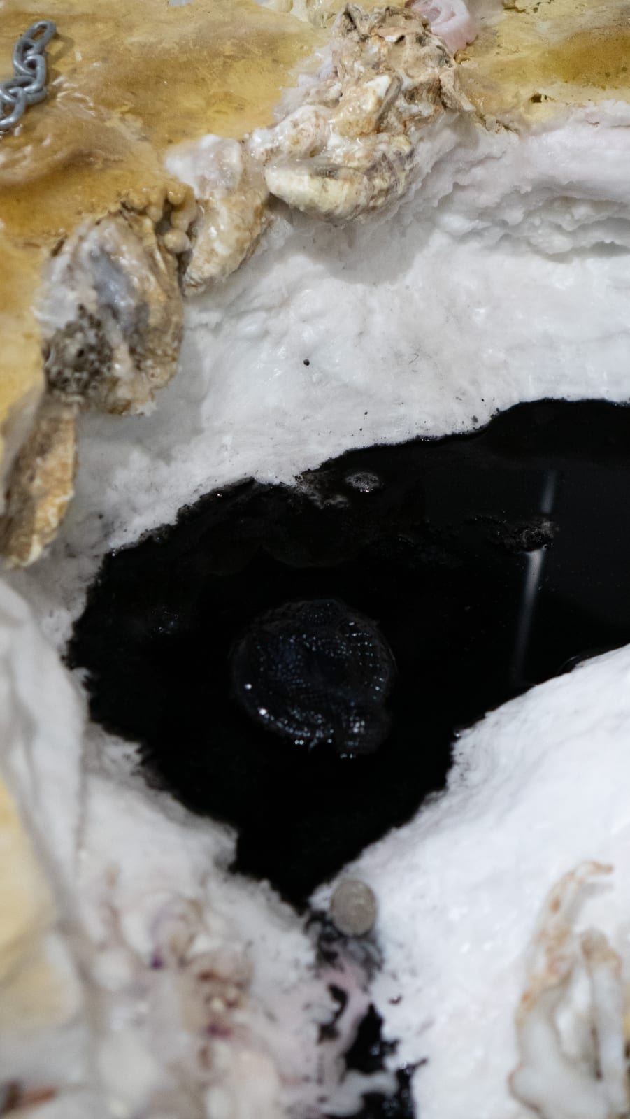 Natalia Janula & Sophie Mei Birkin, where do we go from here, 2024