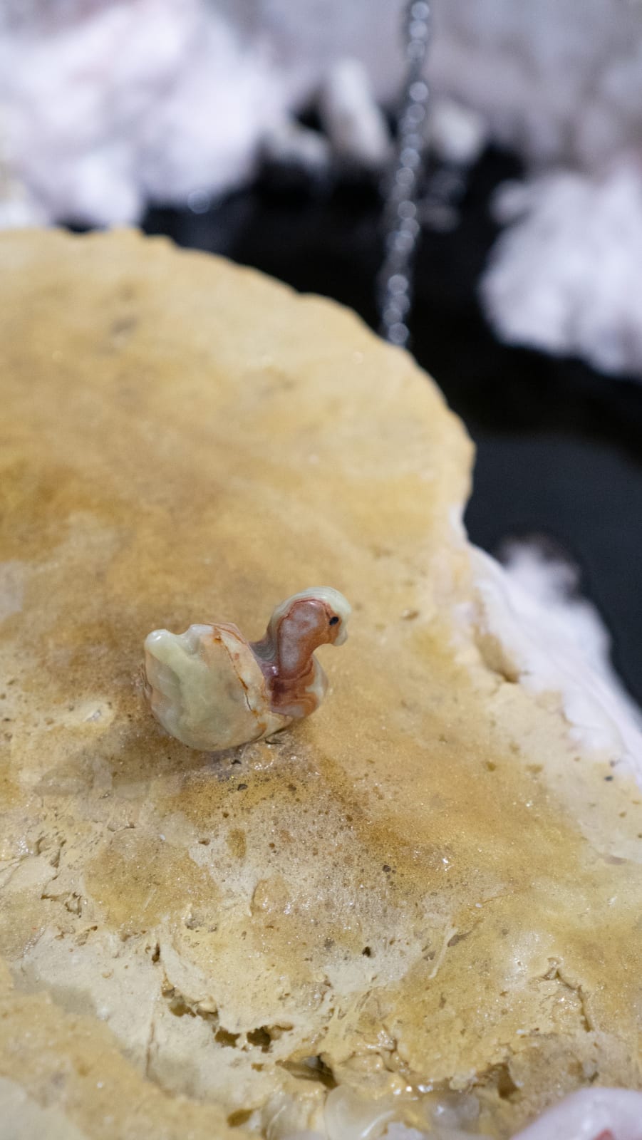 Natalia Janula & Sophie Mei Birkin, where do we go from here, 2024