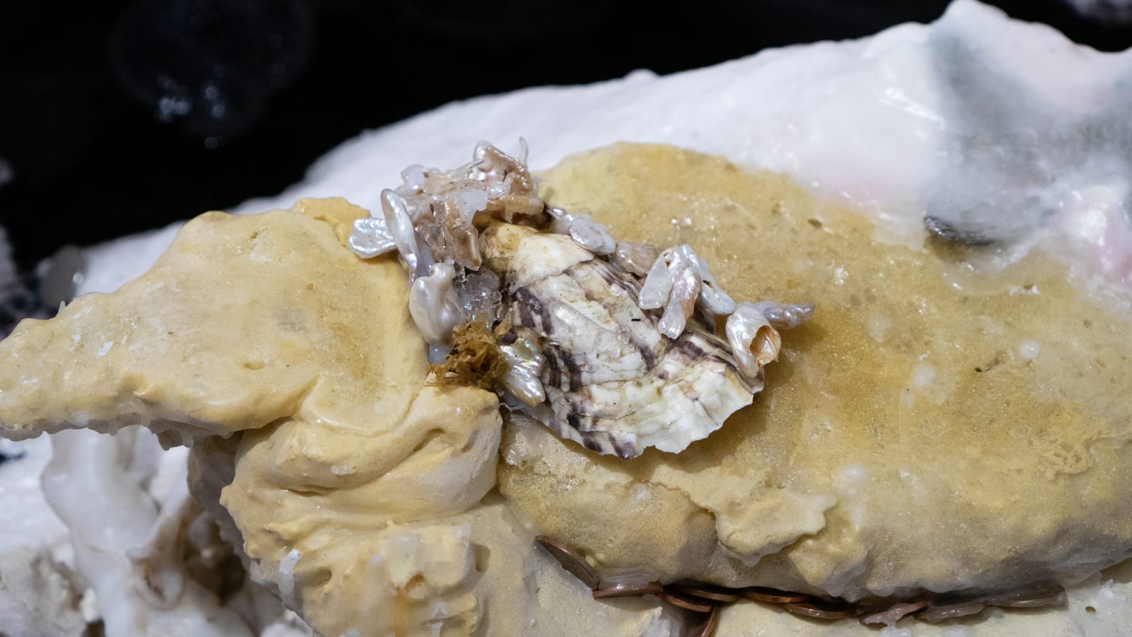 Natalia Janula & Sophie Mei Birkin, where do we go from here, 2024