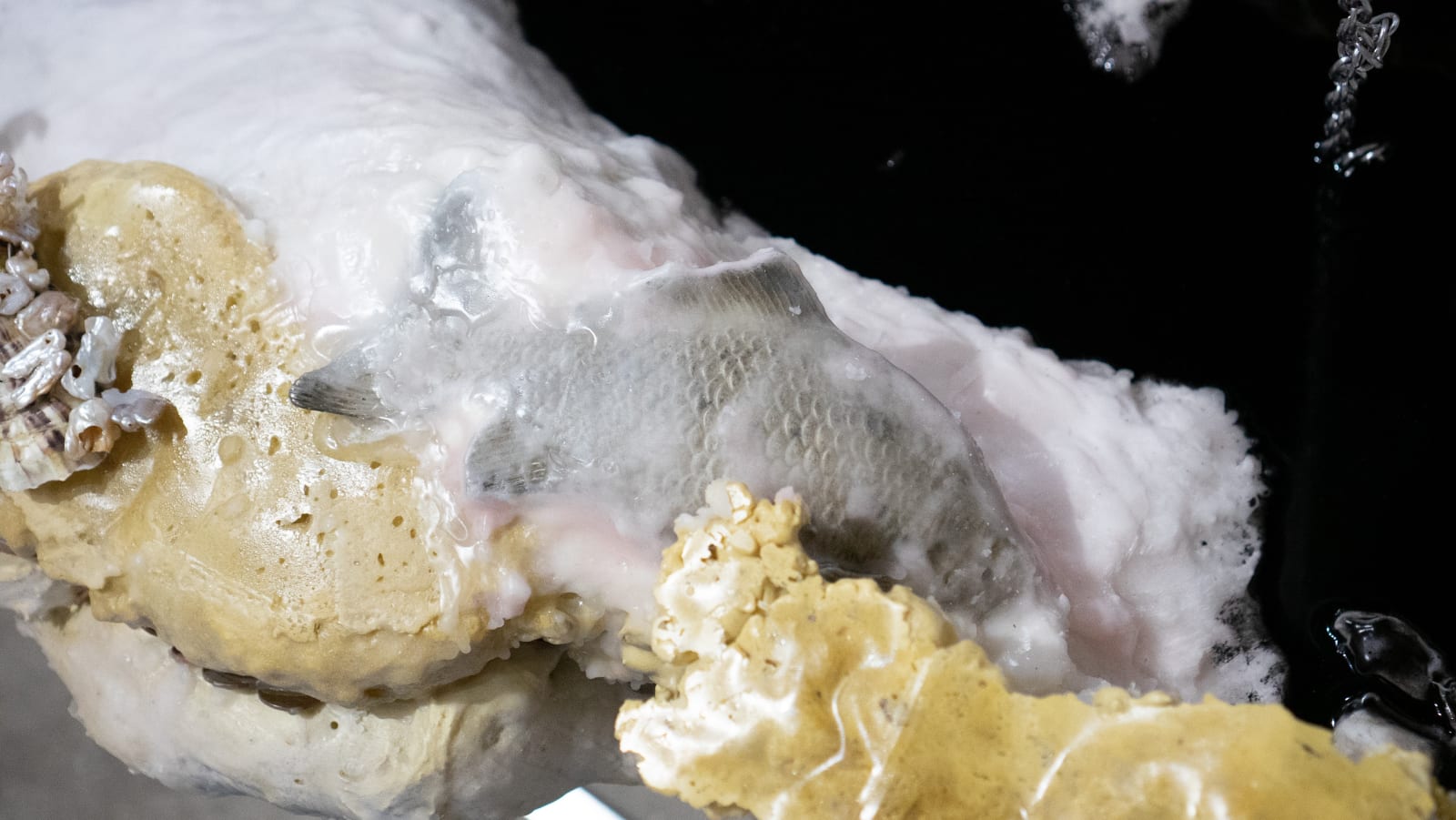 Natalia Janula & Sophie Mei Birkin, where do we go from here, 2024