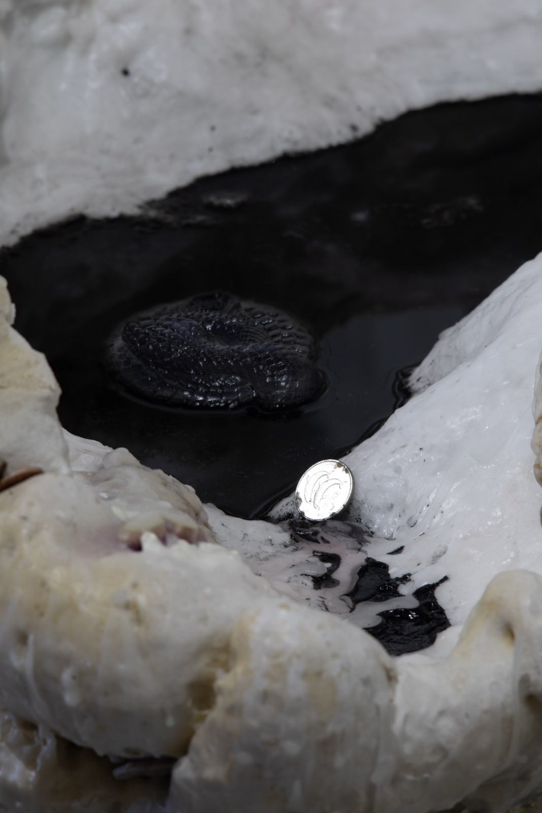 Natalia Janula & Sophie Mei Birkin, where do we go from here, 2024