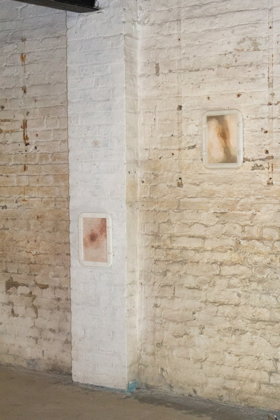 Luca Asta, Ex Manus Series, 2024