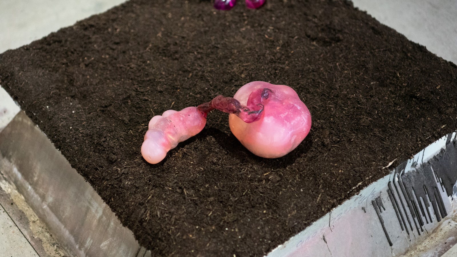 Pınar Marul, Untitled II, 2022